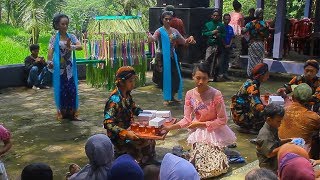 Tarian Tayub Dalam Tradisi  Merti Dusun
