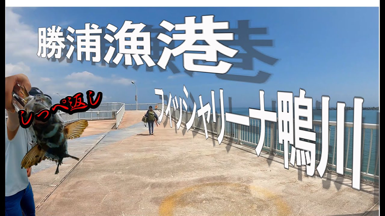 【勝浦漁港】【フィッシャリーナ鴨川】