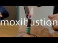 10 types of moxibustion acupuncture  medicine  dongguk university los angeles