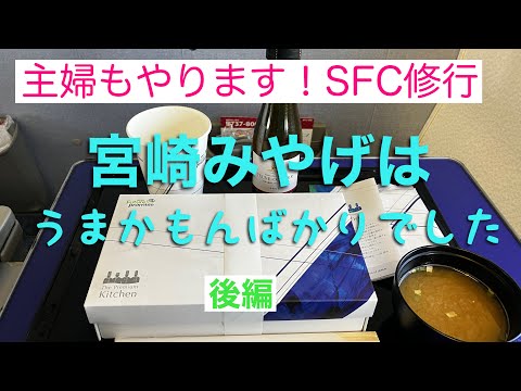 【宮崎後編】日帰り宮崎フライト。滞在時間6時間！宮崎空港を楽しんできました。