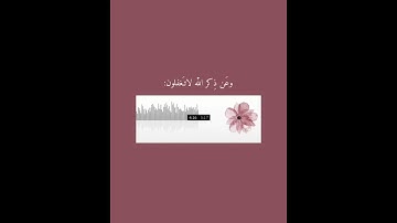 سورة الرعد ..  آية 28 ✨ القارئ عبد الرحمن مسعد 🌸💗.
