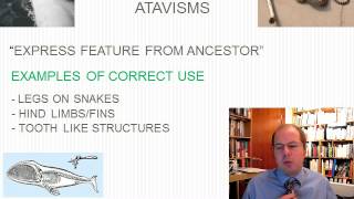 Introduction to Problems with Evolution (3/4)- best arguments used in favour of Darwinism