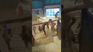 Santosh Pagal Thekedar Gannu Raj Mishra