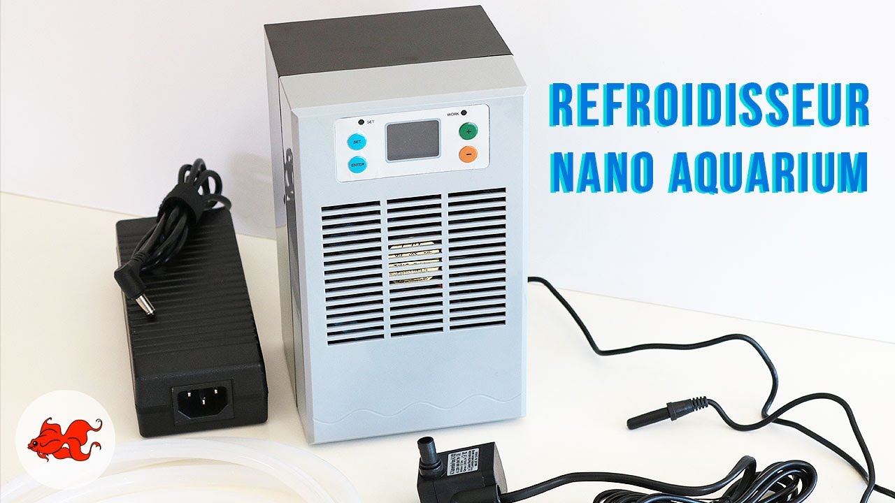 Test Nano Refroidisseur pour aquarium YouTube