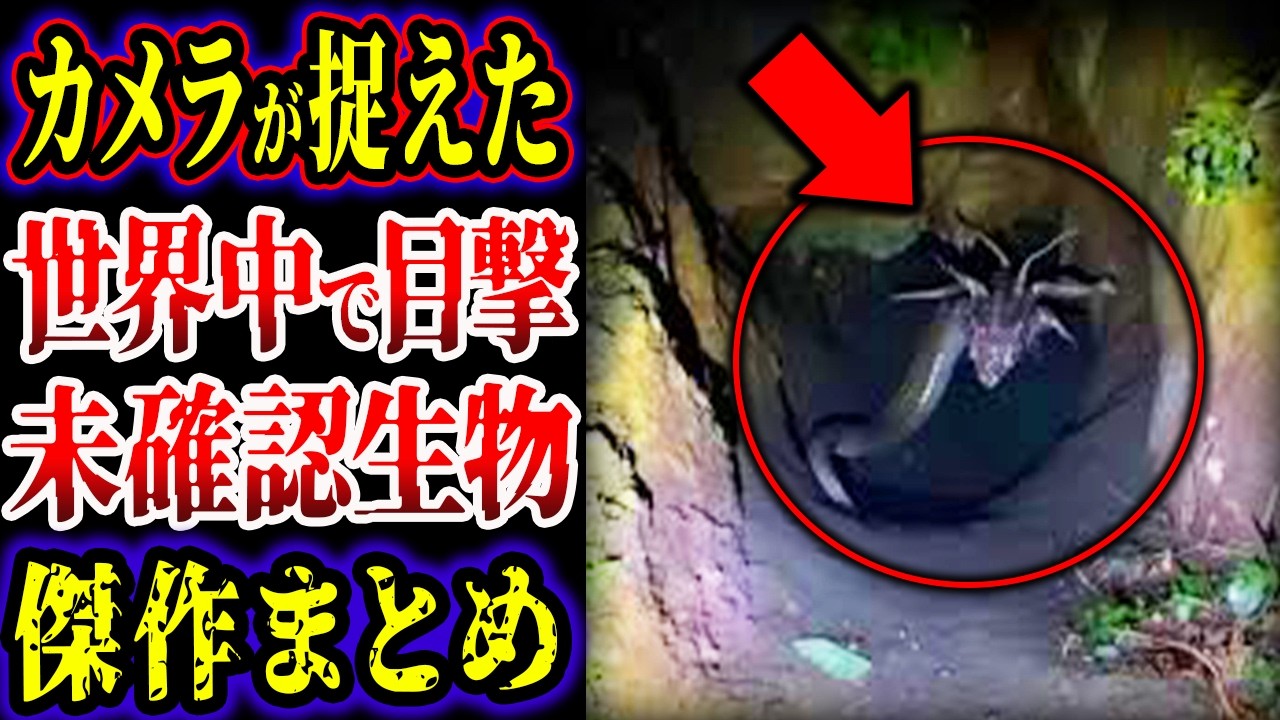 【総集編】本当に実在する、世界中で目撃された未確認生物UMA３選【ゆっくり解説】【UMA・未確認生物】