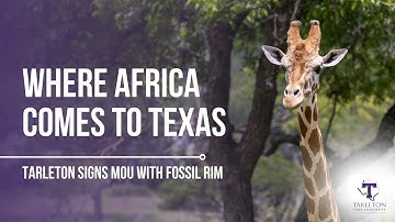 Where Africa Comes to Texas