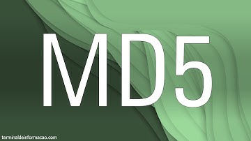 Usando a função MD5 para transformar uma string - Maratona AdvPL e TL++ 342