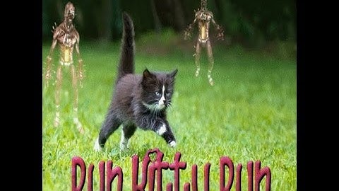 Lethalvortex Plays his own maps for killingfloor KF-RunKittyRun_Desert