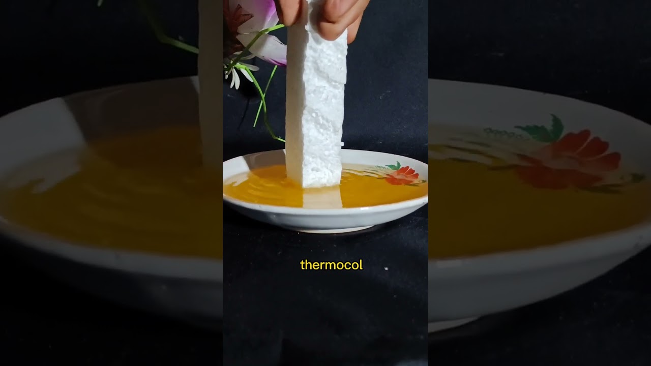 easy experiment || thermocol vs petrol 
