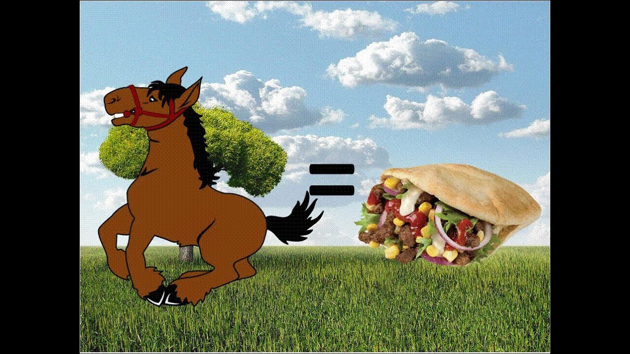 Horse meet scandal YouTube