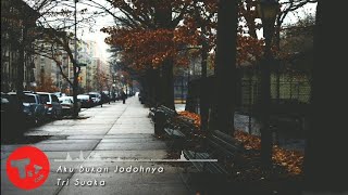 Aku Bukan Jodohnya - Tri Suaka (  Lirik Music )