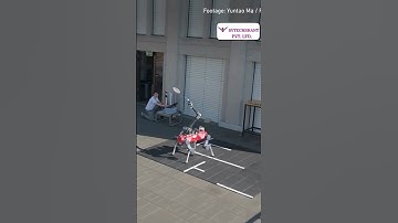 Robot Dog Plays Badminton – AI Robotics in 2025 | Incredible Robot AI Skills