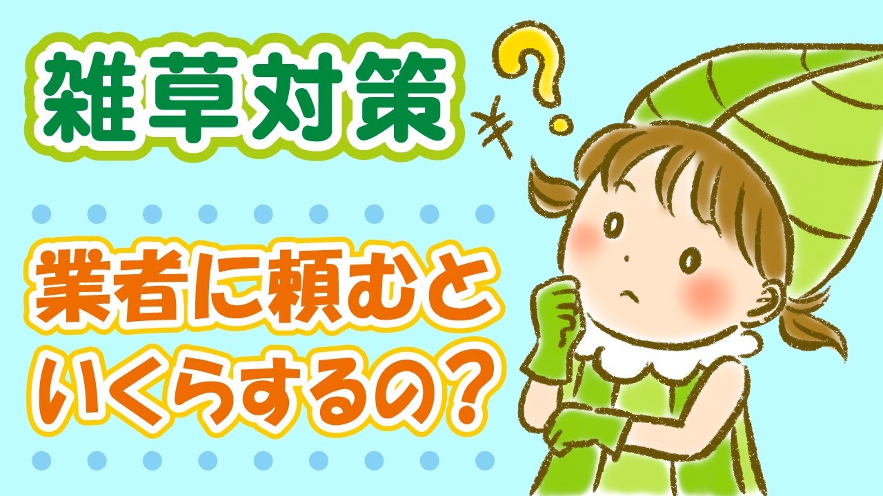 1000平方メートルで6000円、空き地の草取りです How much does it cost to hire a weed control company? - YouTube