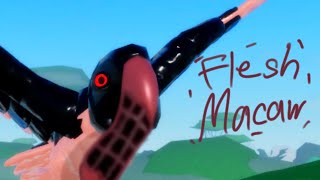 Flesh Macaw - Feather Family Creepypasta