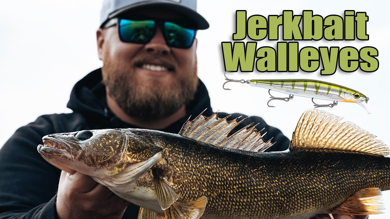 Shallow-water jerkbait walleye fishing