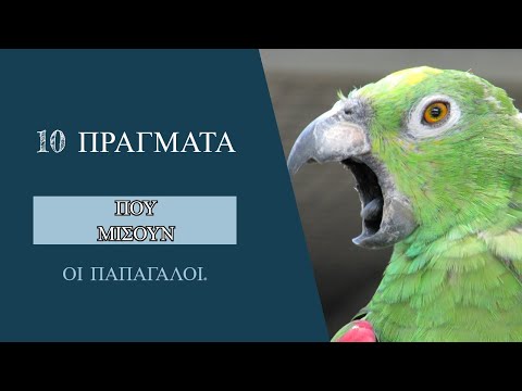 Βίντεο: Από πού προέρχονται οι παπαγάλοι;