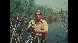 Bass In Heavy Cover - Al Lindner - Roland Martin - Homer Circle (1983)