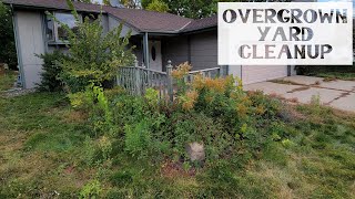 Overgrown Yard Cleanup | Overhaul With Equipment | TimeLapse | 4K | Satisfying Before & After