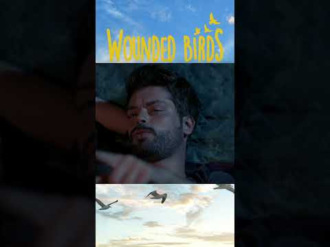Kutup yıldızı #woundedbirds #yaralikuslar #leventmeryem#shorts