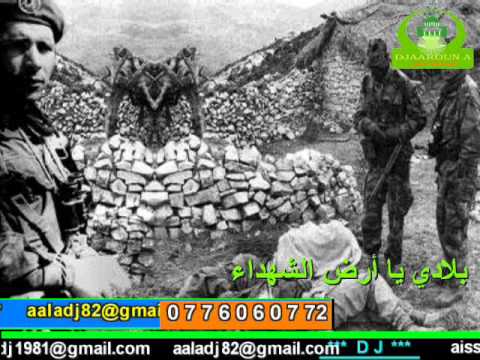 بلادي يا أرض الشهداء حاسي بحبح الجلفة 