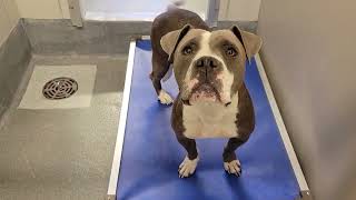 acs A660782
