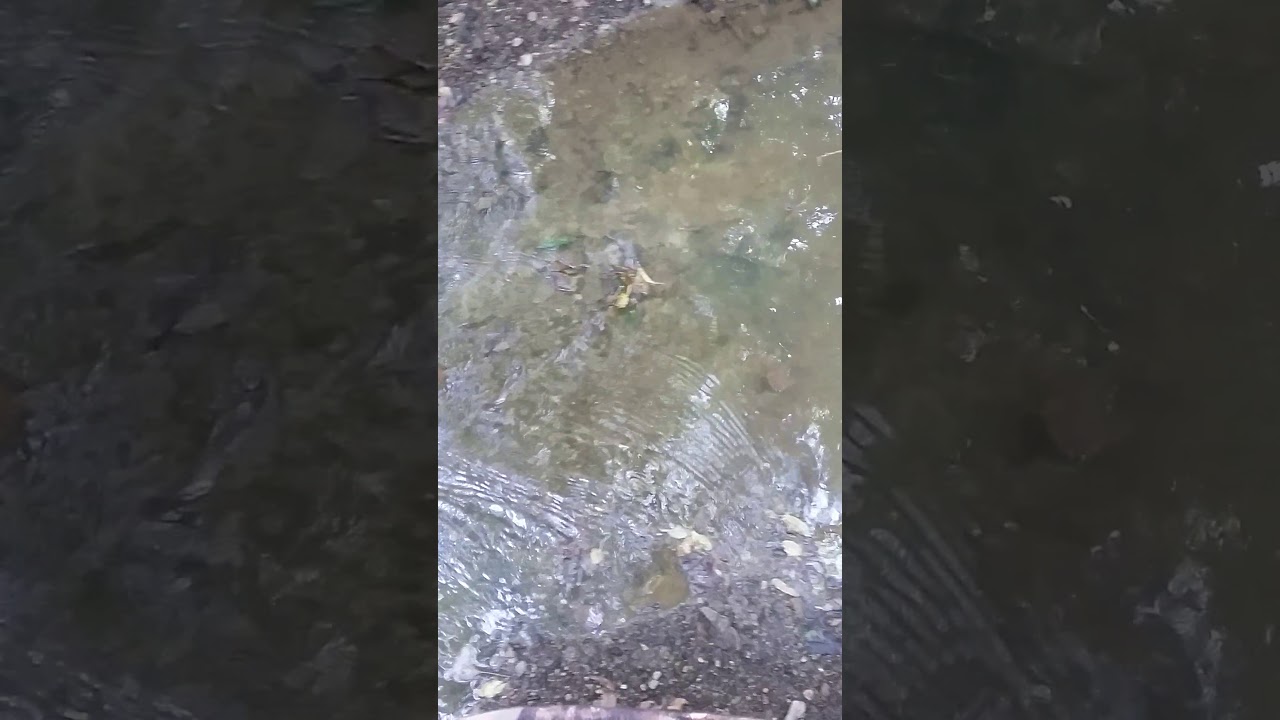 Illinois creek bed arrowhead hunt 9/11/19 ETLEY YouTube