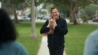 Lost Dog  Frenemy GEICO Insurance Commercial