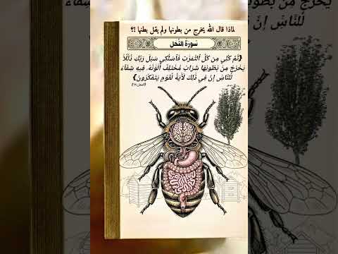 قال رسول الله صلى الله عليه وسلم إسقيه عسلا أحاديث دينية 