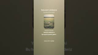 Yalnızlık Çekilmiyor