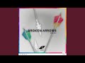 Miniature de la vidéo de la chanson Broken Arrows (Aston Shuffle Remix)