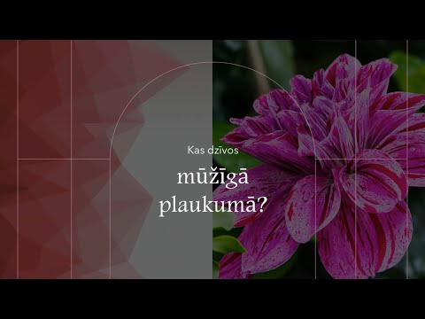 Video: Kas ir teorija pētniecībā PDF?