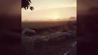 Indian Natura Photos