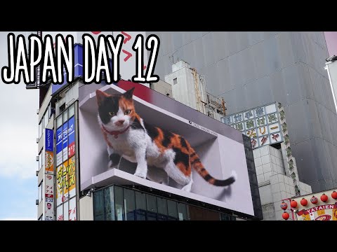 Back in Tokyo | Walking around Shinjuku and Tokyo Tower 🗼
