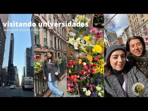 VISITANDO UNIVERSIDADES EN ESTADOS UNIDOS // nueva york, boston, connecticut