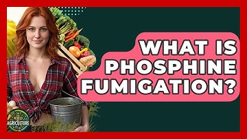 What Is Phosphine Fumigation? - The World of Agriculture