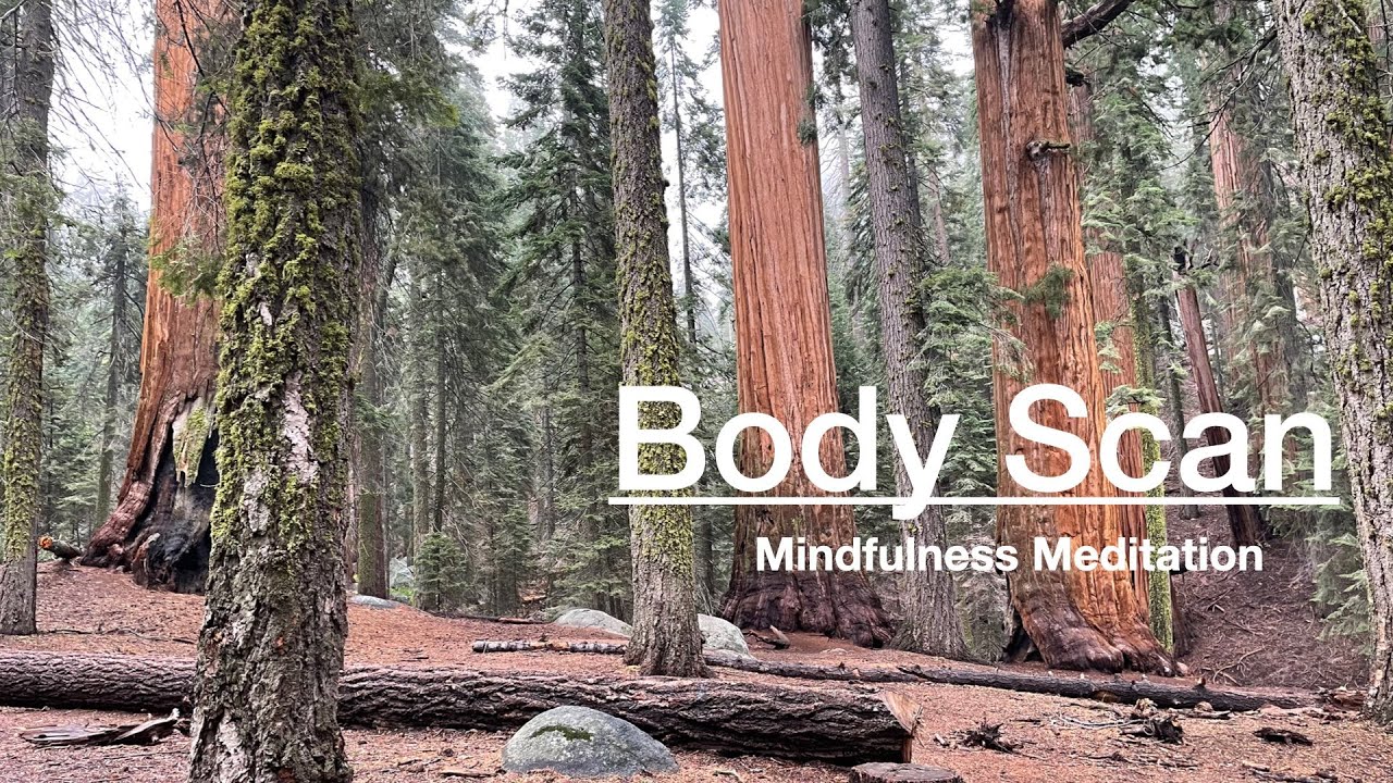 Body Scan Mindfulness Meditation - A Short Guided Body Scan Meditation