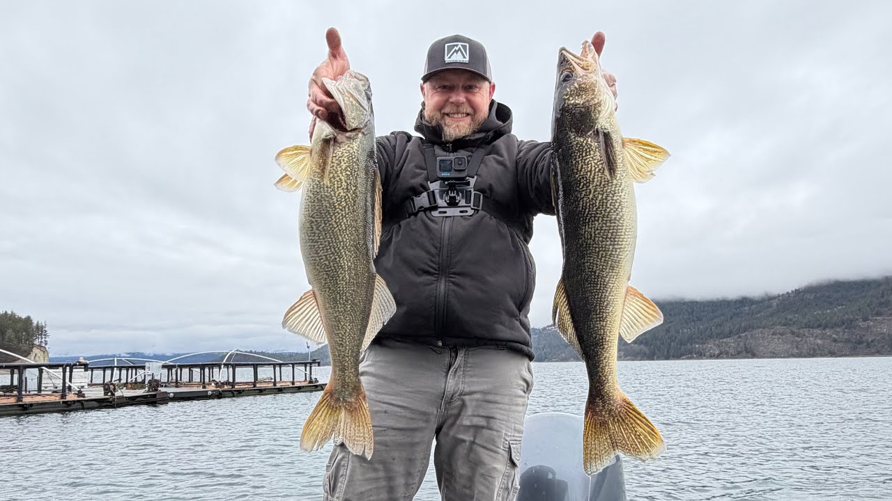 We got in to some giant WALLEYE!!!