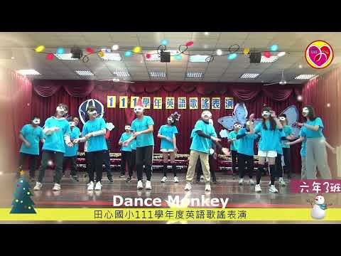 603 Dance Monkey pic