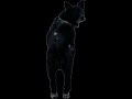3/14/26 Dookie stream of MWIII/Black ops 2 with a mod menu