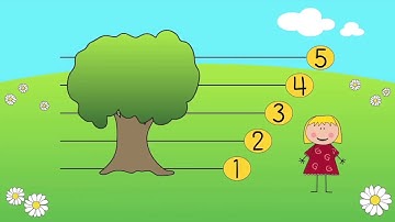 Music Theory -Treble Clef (Understanding & Identifying Notes)😊😊😊