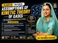 Assumptions of Kinetic Theory of Gases   Complete Concept   NEET • JEE • Class 11 Physics