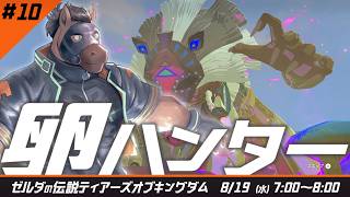 【1時間だけ朝にゲーム】カカリコ村の卵ハンター #ゼルダの伝説ティアーズオブザキングダム part.10