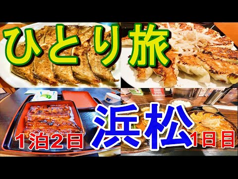 【浜松ひとり旅#1】グルメ・観光【餃子・うなぎ・浜松城・スズキ】6/47