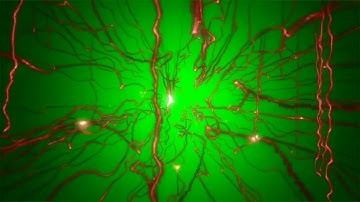 AI Neural Network Visualization: Unleashing the Power of Artificial Intelligence (Green Screen)"