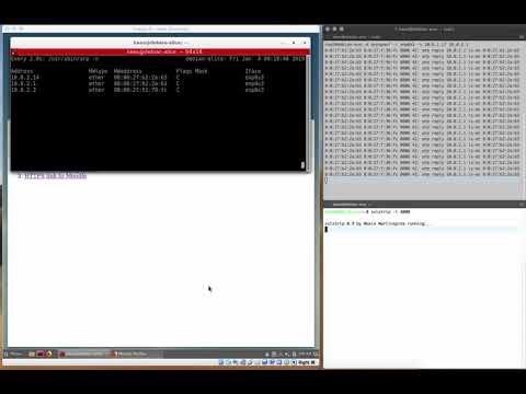 SSL Strip Demo