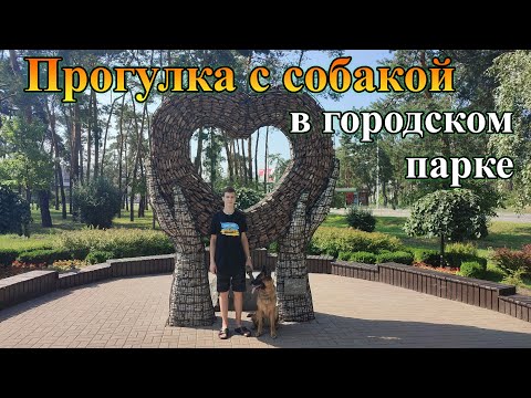 Прогулка с собакой