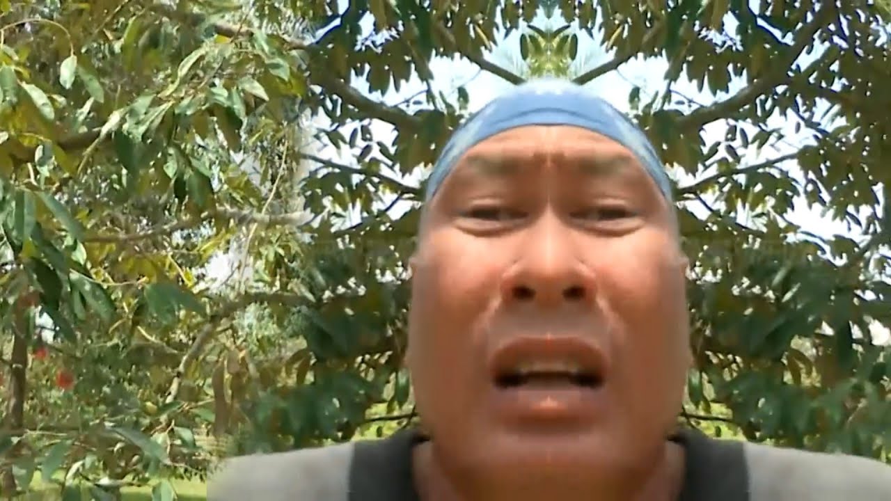 Jejak Si Gundul "durian MONTOnG"