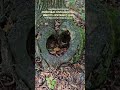#всем_добра_и_позитива #всем_любви_и_хорошего_настроения