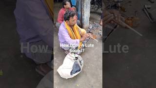 How Does A Lute Sound? #shortsfeed #hindishorts #shortsindia #viralshort #youtubeshorts #travel