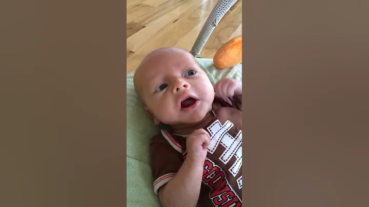 Calvin - 6 Weeks Old